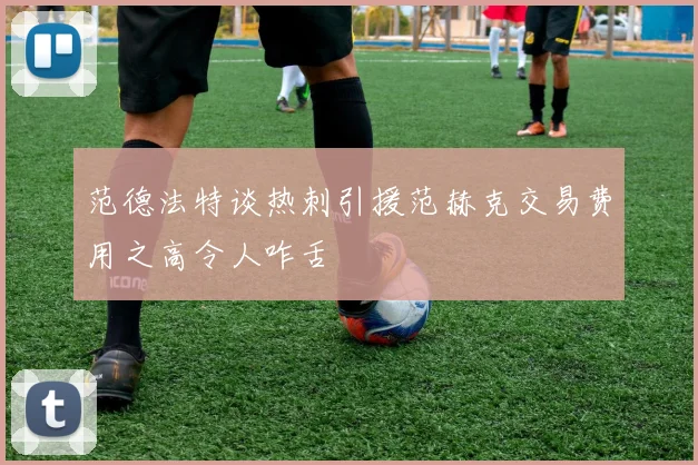 范德法特谈热刺引援范赫克交易费用之高令人咋舌
