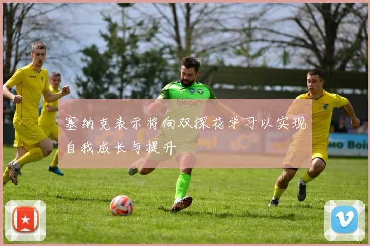 塞纳克表示将向双探花学习以实现自我成长与提升