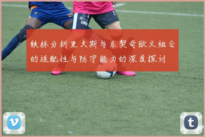 铁林分析里夫斯与东契奇欧文组合的适配性与防守能力的深度探讨